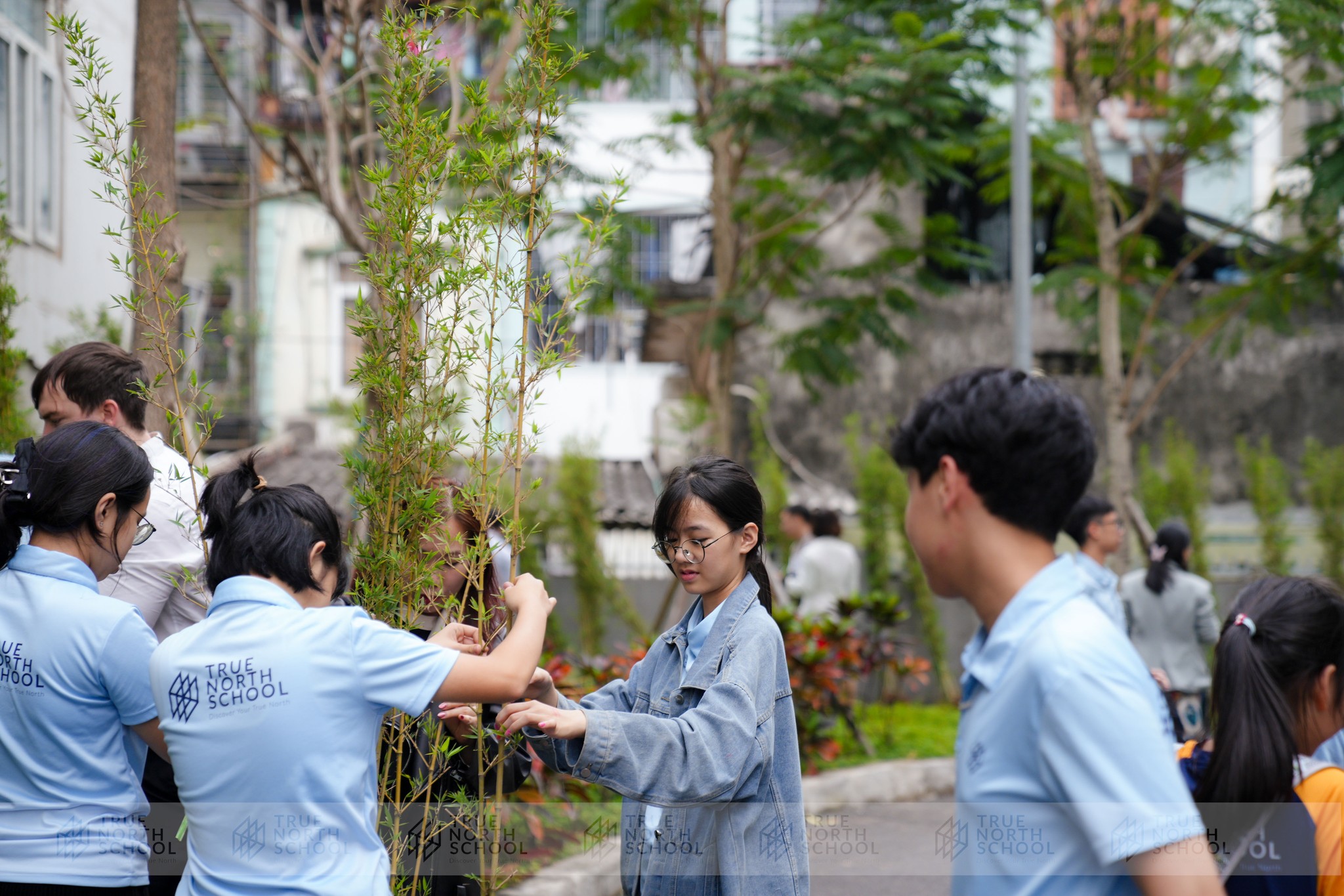 New Year Tradition: Planting 900 Trees on the First Day Back to School